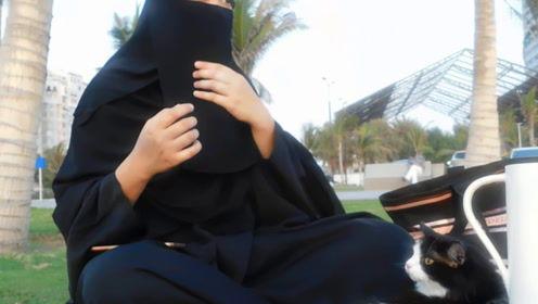 娱乐吃瓜君换头,揭秘明星换头术背后的秘密